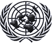 U.N. Logo